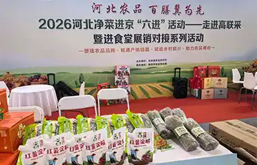 Apa sing ndadekake bihun lan pati saka Lulong, Hebei, bisa tekan pasar ing Korea Selatan, Vietnam, lan Australia?