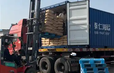 Apa sebabe para panuku Korea Selatan ngimpor pati saka Lulong? Deleng Proses Muat lan Kirim ing Industri Kentang Tongyou
